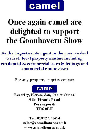 camel estate agents